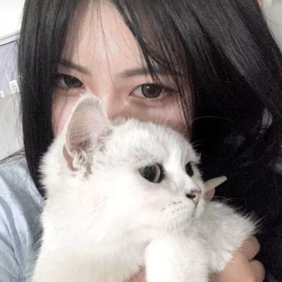 目标是传说级冒险者手机版下载