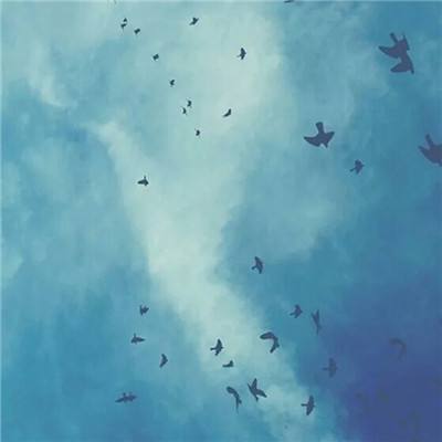 不江湖olbt版下载